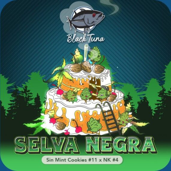 SELVA NEGRA