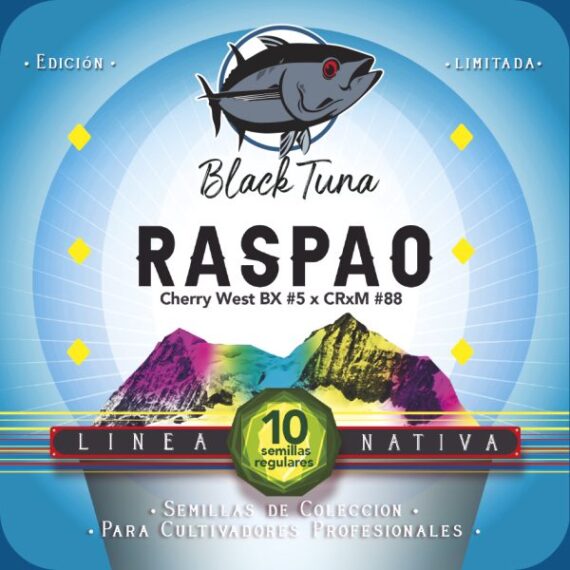 RASPAO