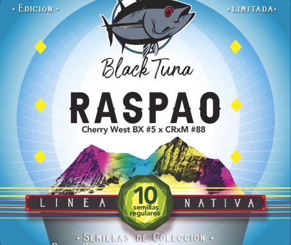 RASPAO