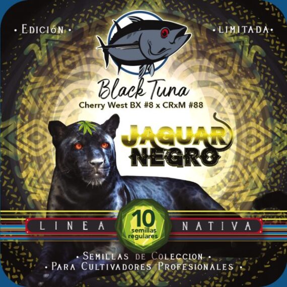 JAGUAR NEGRO