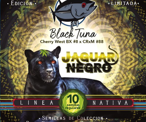 JAGUAR NEGRO