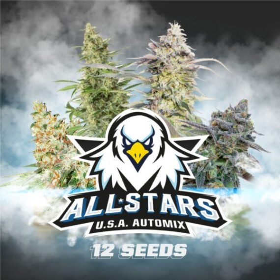 ALL STAR USA AUTO-MIX