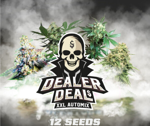 DEALER DEAL XXL AUTO-MIX