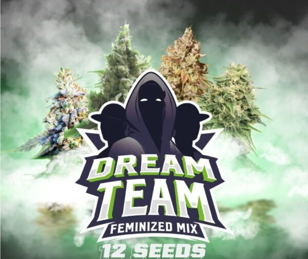 DREAM TEAM MIX-FEM