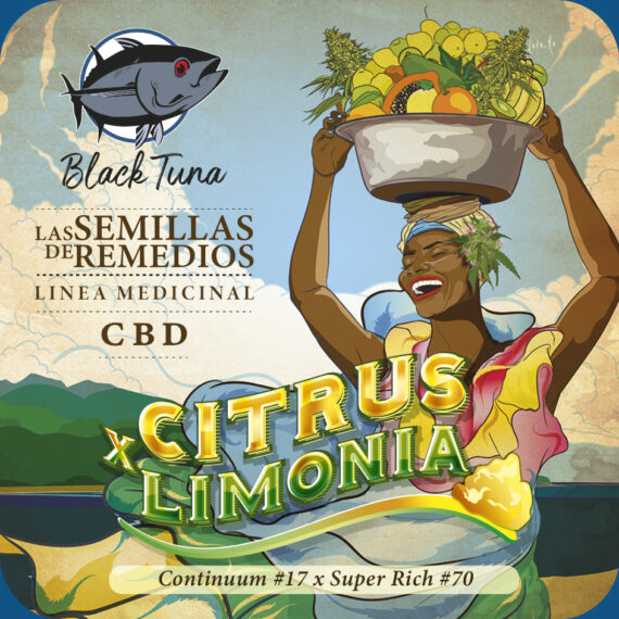 CITRUS LIMONIA CBD