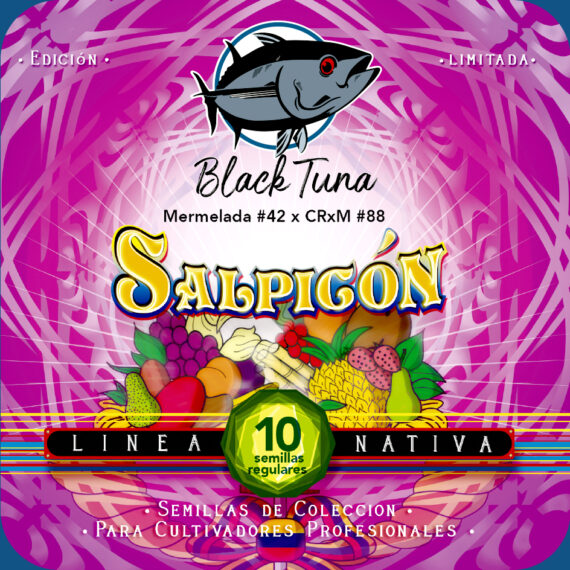 SALPICON