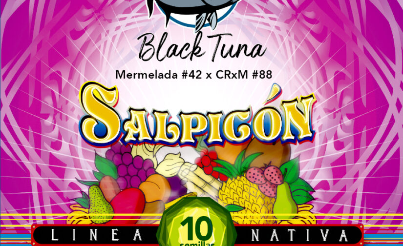 SALPICON