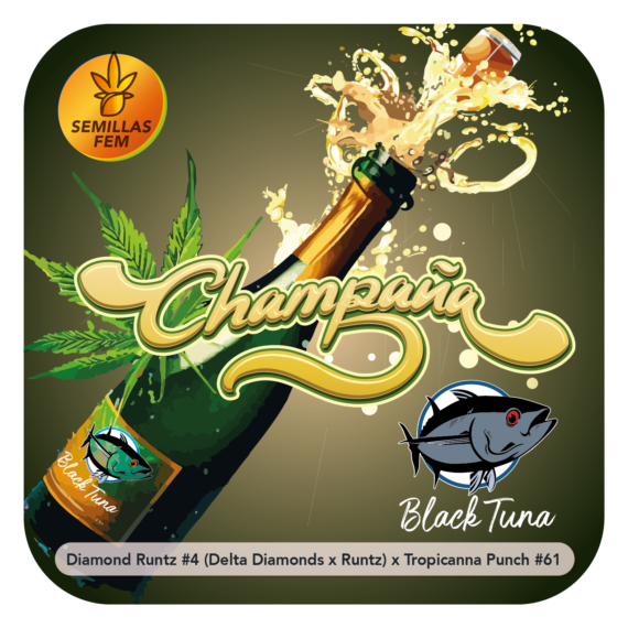 CHAMPAÑA