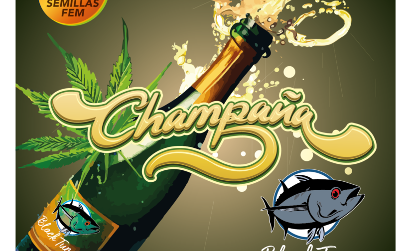CHAMPAÑA