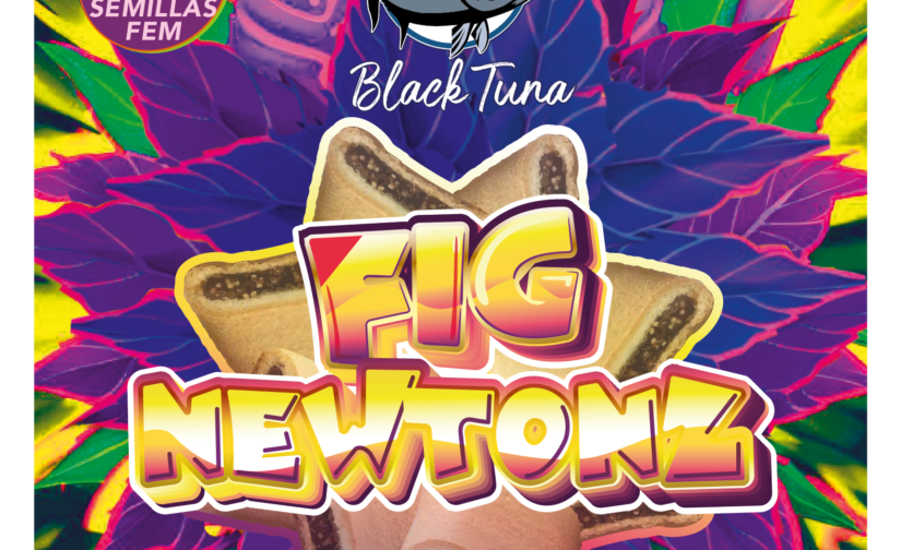 FIG NEWTONZ