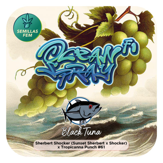 OCEAN SPRAY F1