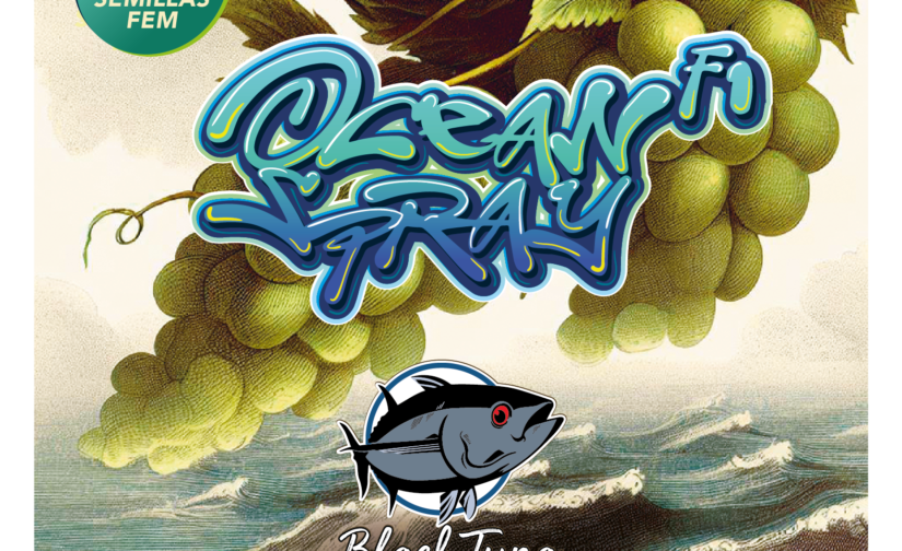 OCEAN SPRAY F1