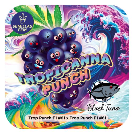 TROPICANNA PUNCH