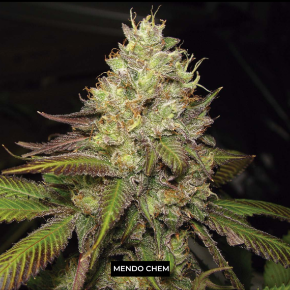 MENDO CHEM