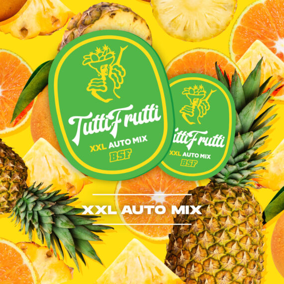 TUTTI FRUTTI AUTO MIX X 4