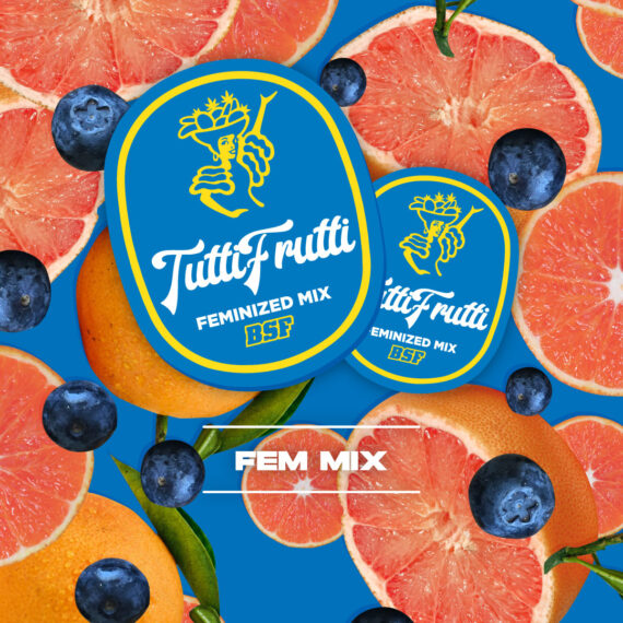 TUTTI FRUTTI FEM MIX X 4