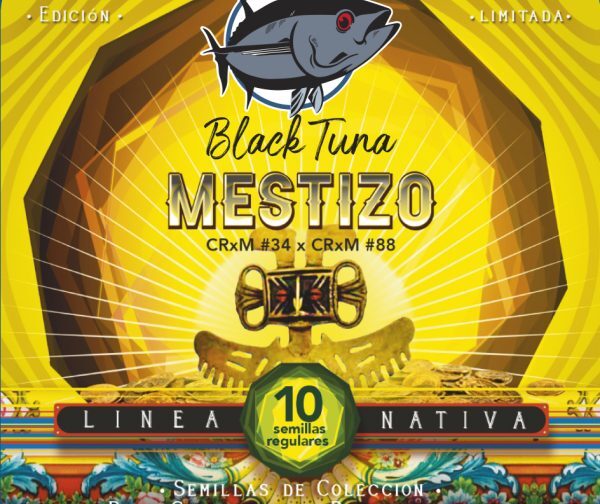 MESTIZO