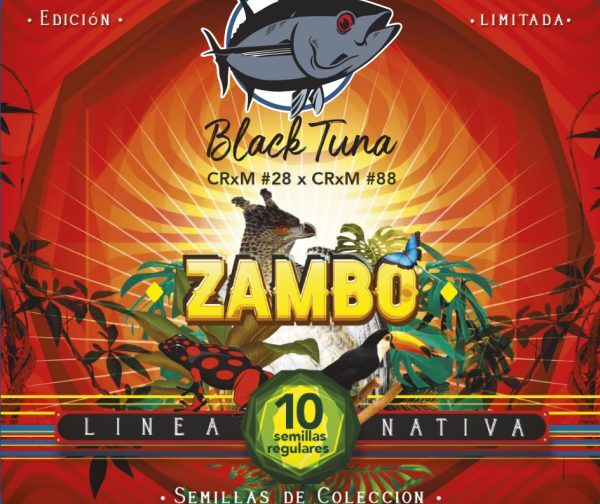 ZAMBO
