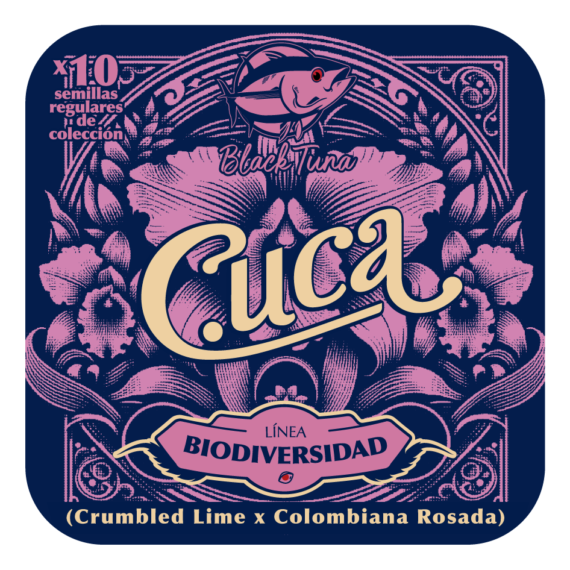 CUCA