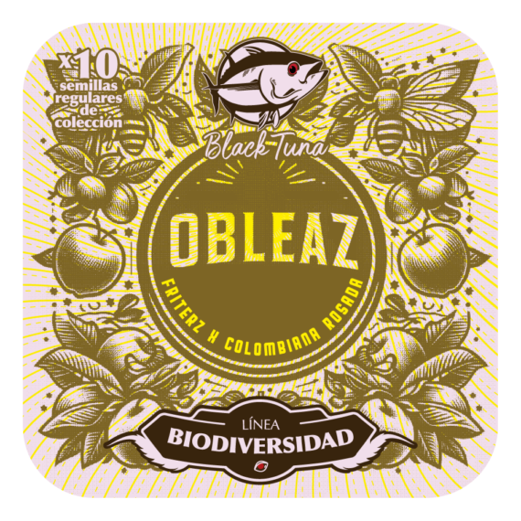 OBLEAZ