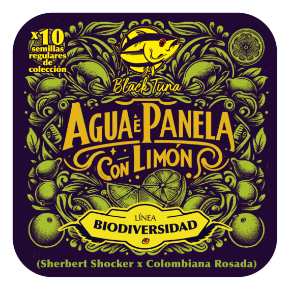 AGUA E PANELA CON LIMÓN