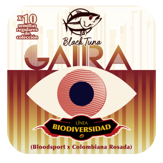 GAIRA