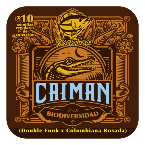 CAIMAN