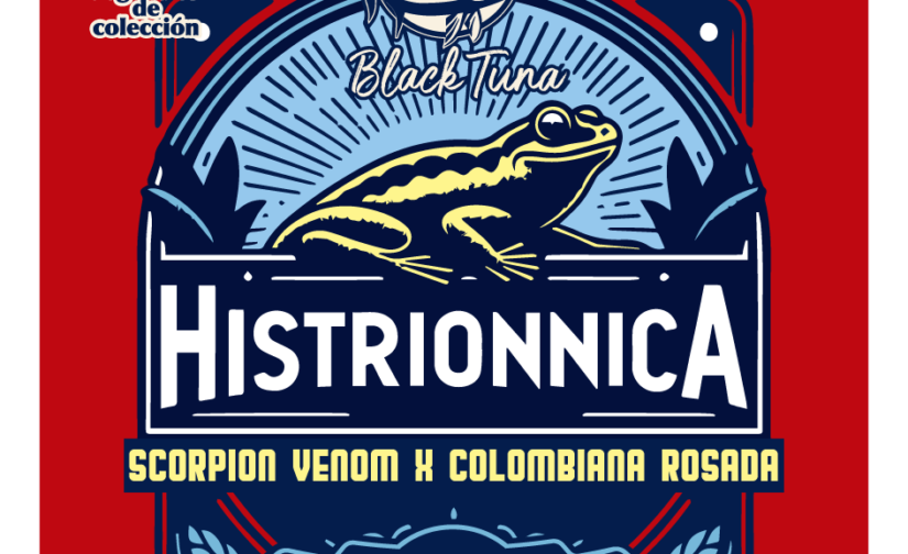 HISTRIONNICA