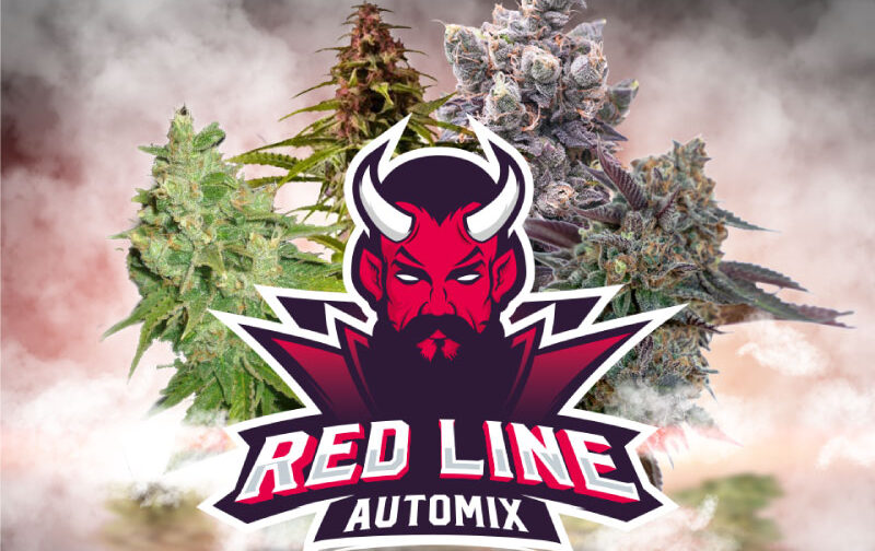 RED LINE AUTO-MIX