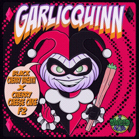 GARLICQUINN