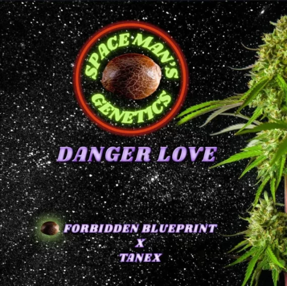 DANGER LOVE
