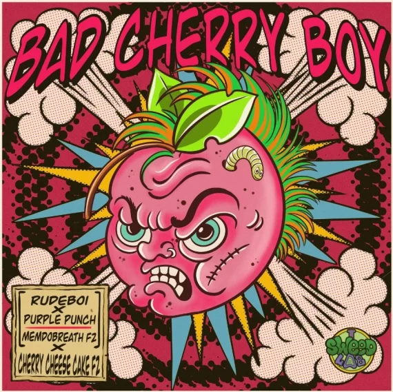 BAD CHERRY BOY