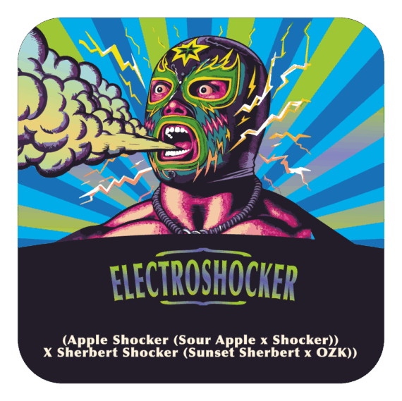 ELECTROSHOCKER