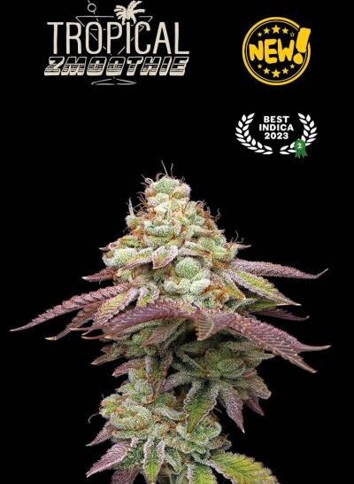 TROPICAL SMOOTHIE FEM