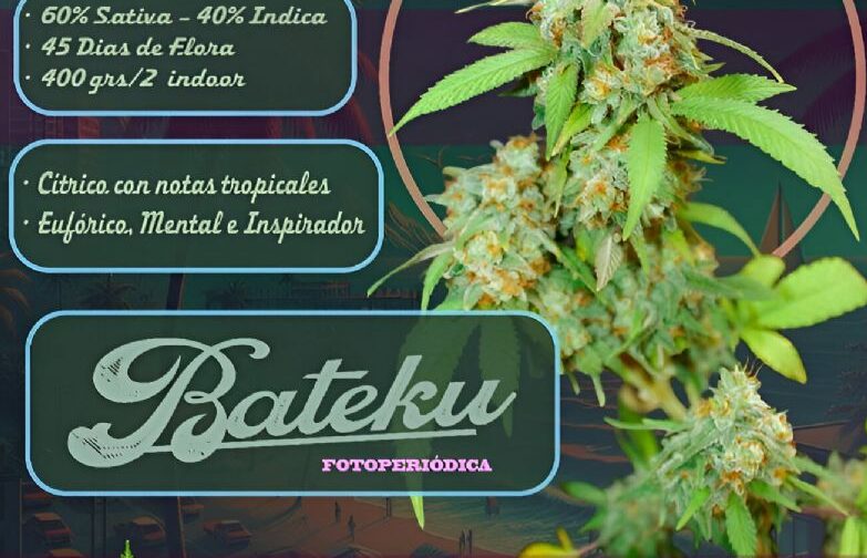 BATEKÚ - LOCO YORSH